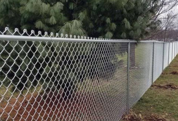 Chain Link Fences